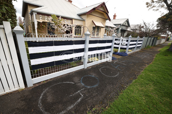AFL 2025 Media - Geelong Grand Final Colour - A-63050482
