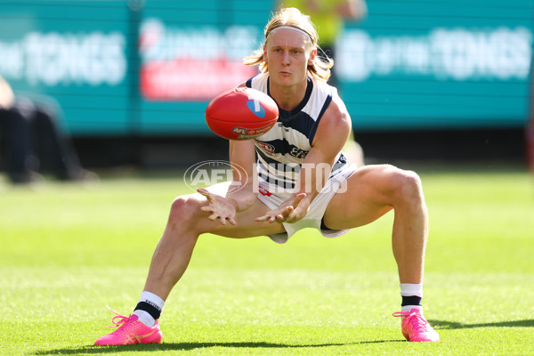 AFL 2025 Grand Final - Geelong v Brisbane - A-63122455