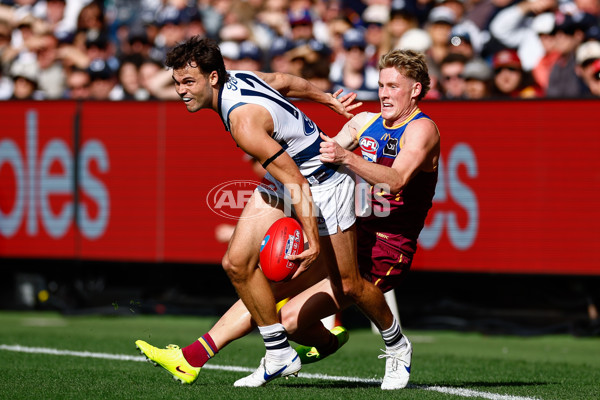 AFL 2025 Grand Final - Geelong v Brisbane - A-63124090