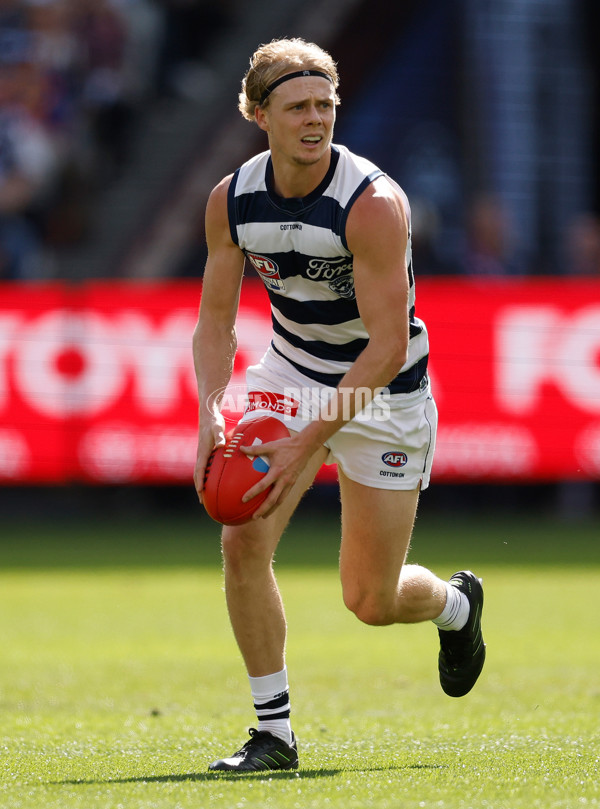 AFL 2025 Grand Final - Geelong v Brisbane - A-63125416