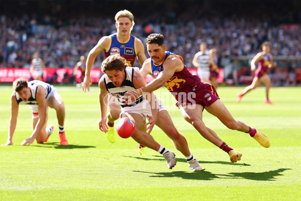 AFL 2025 Grand Final - Geelong v Brisbane - A-63127677