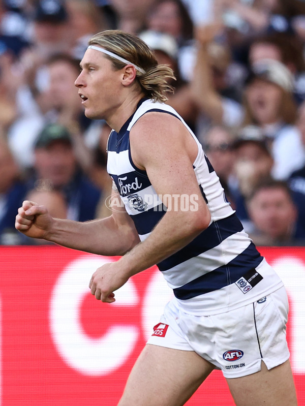 AFL 2025 Grand Final - Geelong v Brisbane - A-63133463