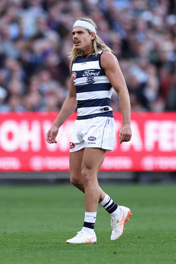 AFL 2025 Grand Final - Geelong v Brisbane - A-63133478