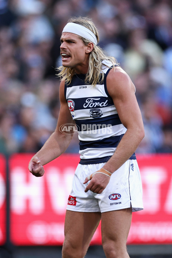 AFL 2025 Grand Final - Geelong v Brisbane - A-63135414