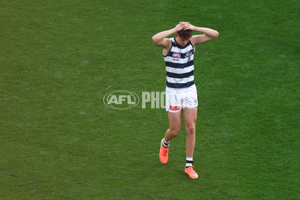 AFL 2025 Grand Final - Geelong v Brisbane - A-63138070