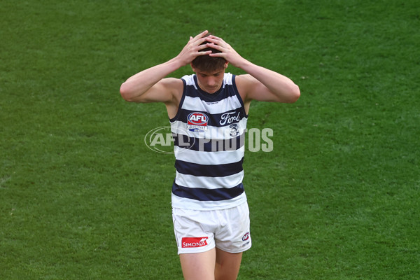 AFL 2025 Grand Final - Geelong v Brisbane - A-63138071