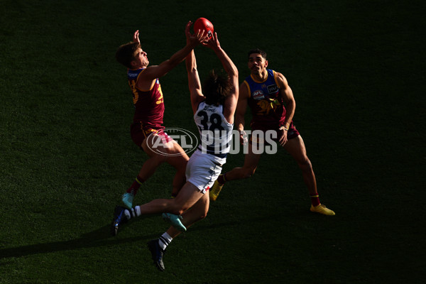 AFL 2025 Grand Final - Geelong v Brisbane - A-63138083