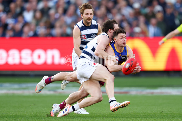 AFL 2025 Grand Final - Geelong v Brisbane - A-63144077