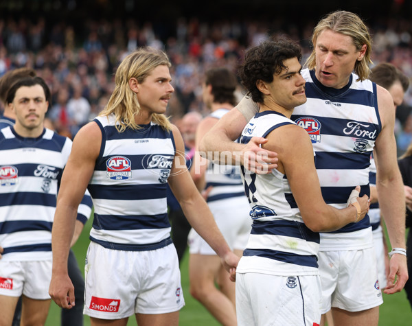 AFL 2025 Grand Final - Geelong v Brisbane - A-63147058