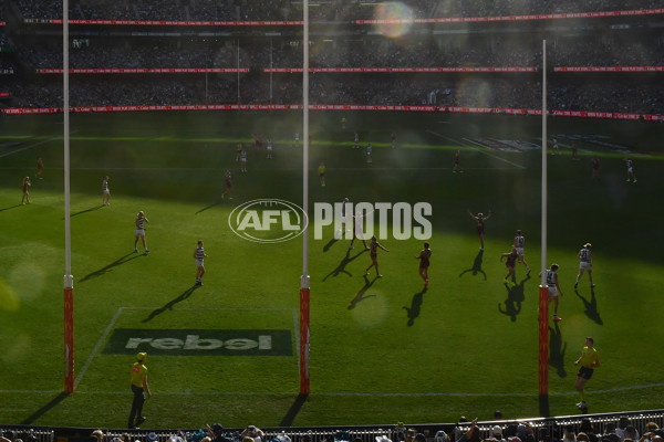 AFL 2025 Grand Final - Geelong v Brisbane - A-63147072