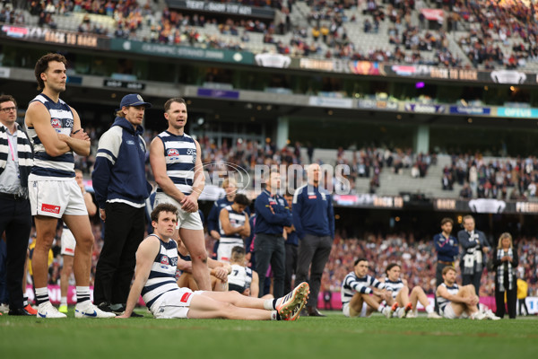 AFL 2025 Grand Final - Geelong v Brisbane - A-63149948