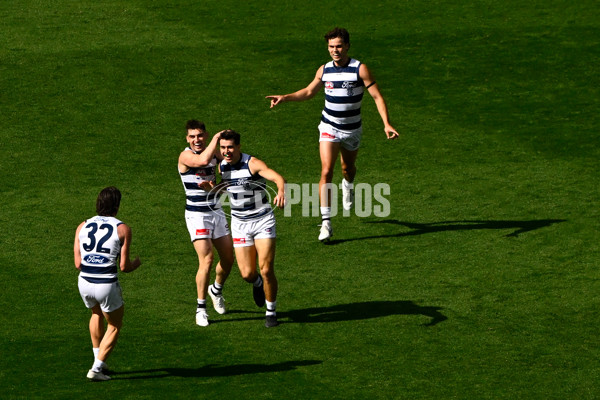 AFL 2025 Grand Final - Geelong v Brisbane - A-63152646
