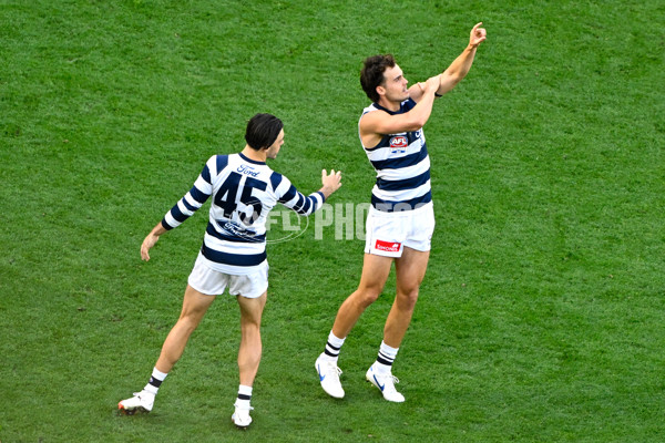 AFL 2025 Grand Final - Geelong v Brisbane - A-63152673