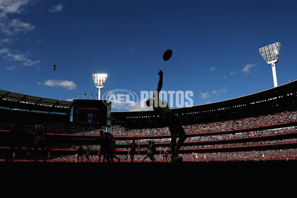 AFL 2025 Grand Final - Geelong v Brisbane - A-63152745