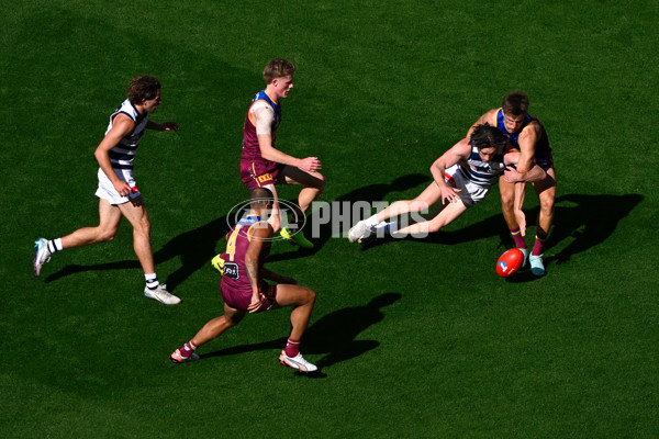 AFL 2025 Grand Final - Geelong v Brisbane - A-63155041