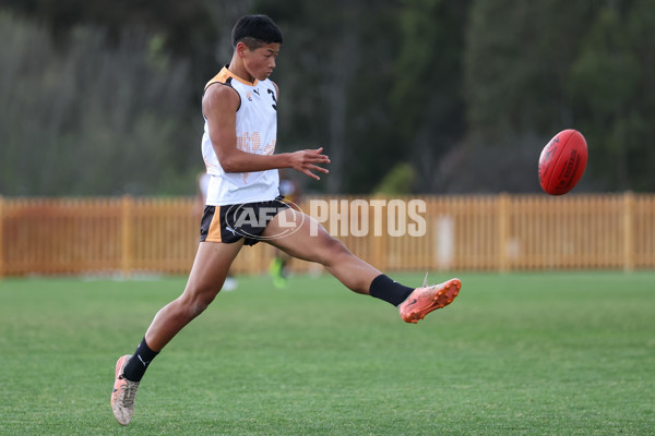 AFL Diversity Series Boys 2025 Match 2 - Flying Boomerangs v World Team - A-63221549