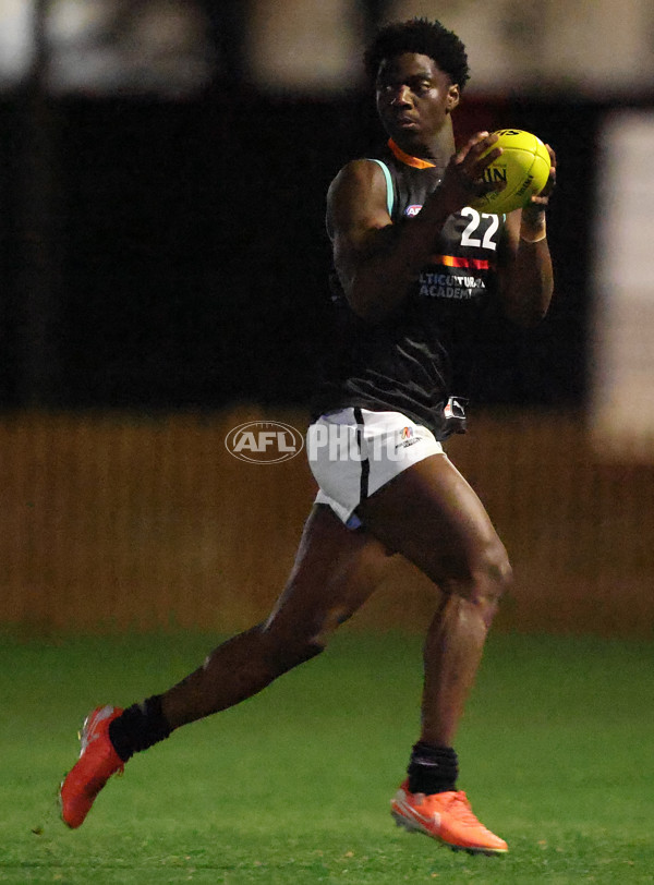 AFL Diversity Series Boys 2025 - Indigenous Academy v Multicultural Academy - A-63327545