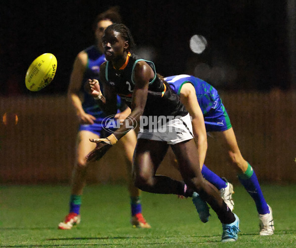 AFL Diversity Series Boys 2025 - Indigenous Academy v Multicultural Academy - A-63328708