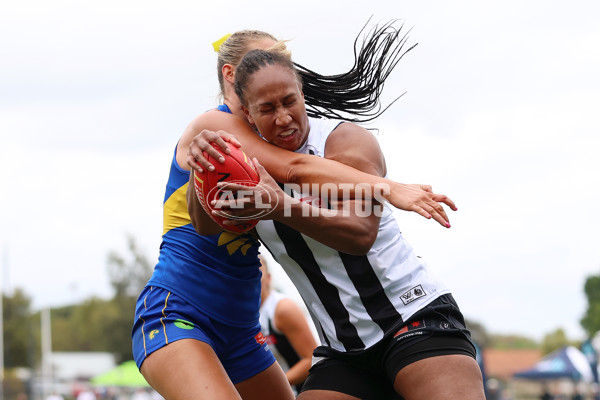 AFLW 2025 Round 08 - West Coast v Collingwood - A-63372733