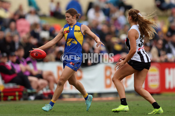 AFLW 2025 Round 08 - West Coast v Collingwood - A-63372745