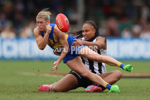 AFLW 2025 Round 08 - West Coast v Collingwood - A-63372752