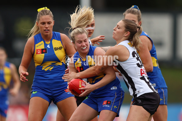 AFLW 2025 Round 08 - West Coast v Collingwood - A-63372838