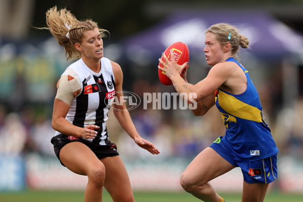AFLW 2025 Round 08 - West Coast v Collingwood - A-63372853