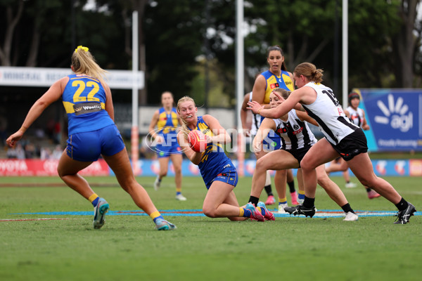 AFLW 2025 Round 08 - West Coast v Collingwood - A-63375563