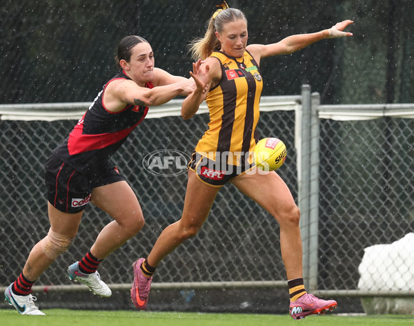 AFLW 2025 Round 11 - Essendon v Hawthorn - A-64166571