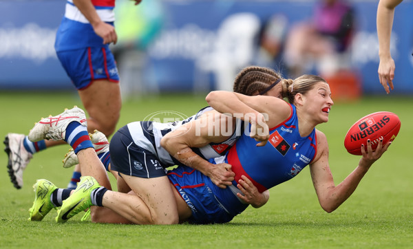 AFLW 2025 Round 11 - Western Bulldogs v Geelong - A-64184113