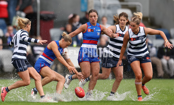 AFLW 2025 Round 11 - Western Bulldogs v Geelong - A-64184125
