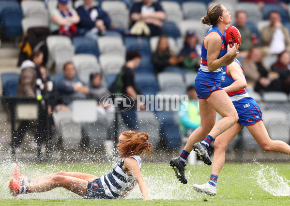AFLW 2025 Round 11 - Western Bulldogs v Geelong - A-64184146