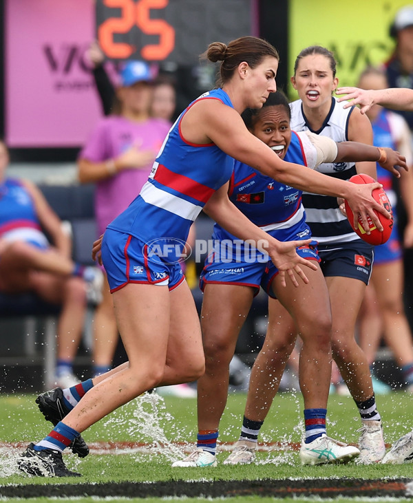 AFLW 2025 Round 11 - Western Bulldogs v Geelong - A-64184186