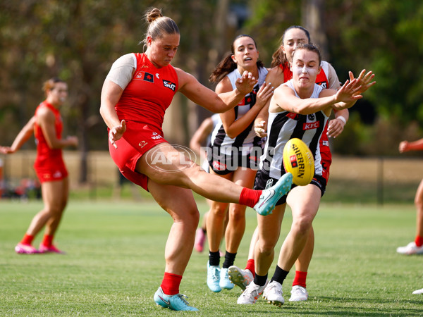 AFLW 2025 Round 11 - Gold Coast v Collingwood - A-64191856