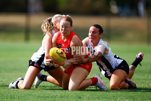 AFLW 2025 Round 11 - Gold Coast v Collingwood - A-64191861