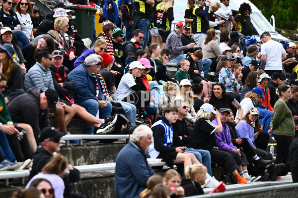 AFLW 2025 Round 11 - North Melbourne v St Kilda - A-64197146