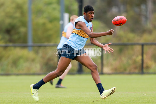 AFL 2025 Media - AFL Open Day 1 - A-64207835