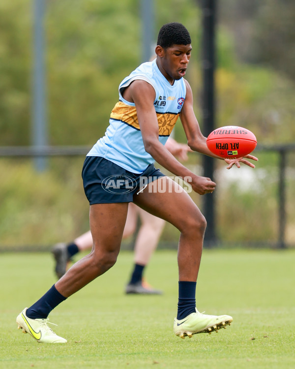 AFL 2025 Media - AFL Open Day 1 - A-64208327