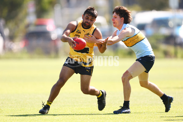 AFL 2025 Media - AFL Open Day 3 - A-64561923