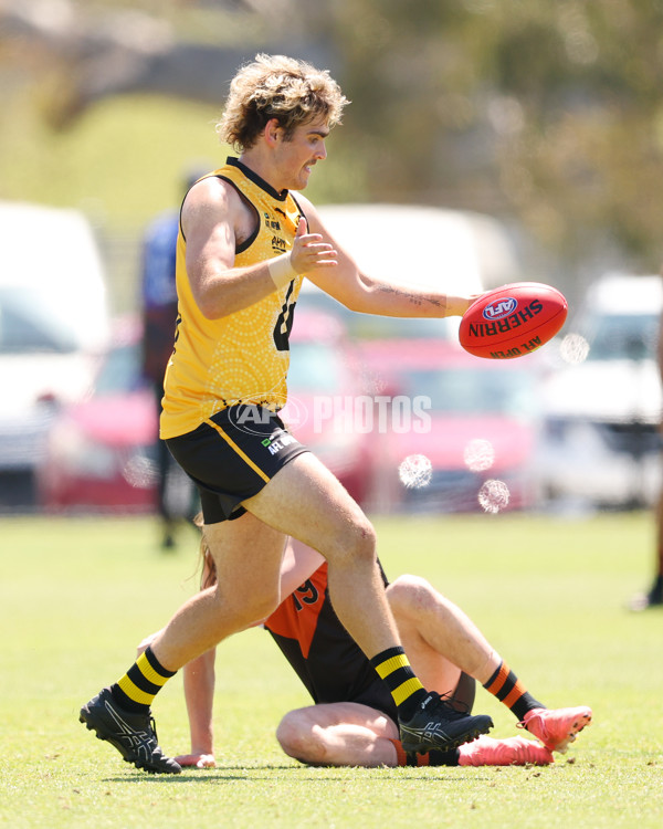 AFL 2025 Media - AFL Open Day 3 - A-64600654