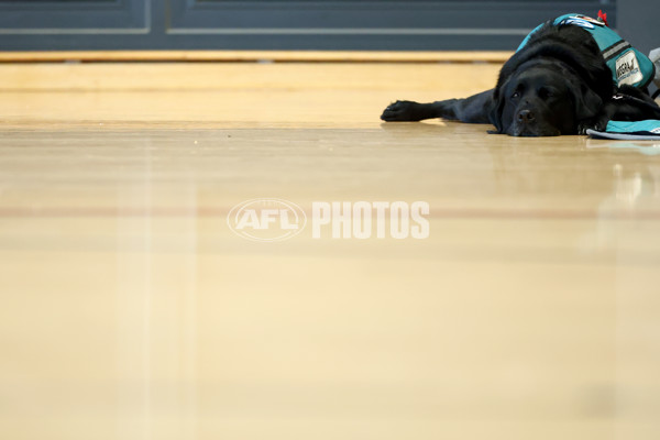 AFL 2025 Media - AFL Open Day 3 - A-64602561