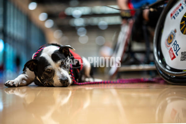 AFL 2025 Media - AFL Open Day 1 - A-64605742