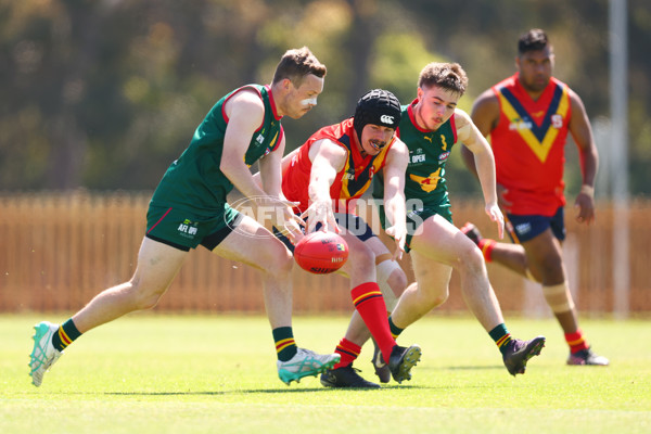 AFL 2025 Media - AFL Open Day 4 - A-64607676