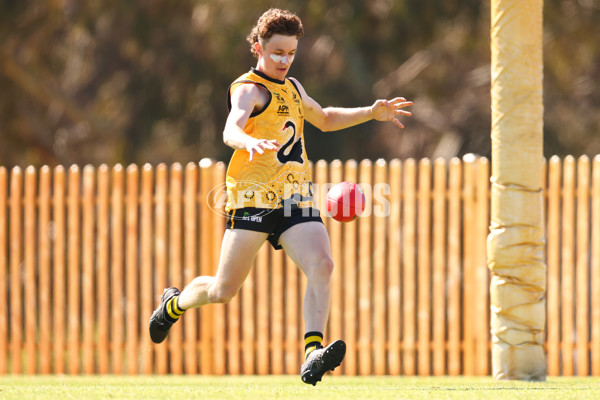 AFL 2025 Media - AFL Open Day 4 - A-64608003