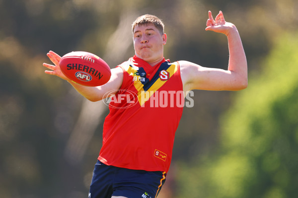 AFL 2025 Media - AFL Open Day 4 - A-64608075