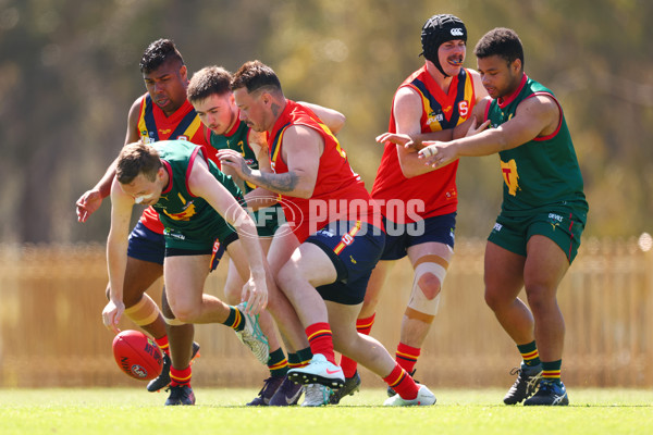 AFL 2025 Media - AFL Open Day 4 - A-64608079