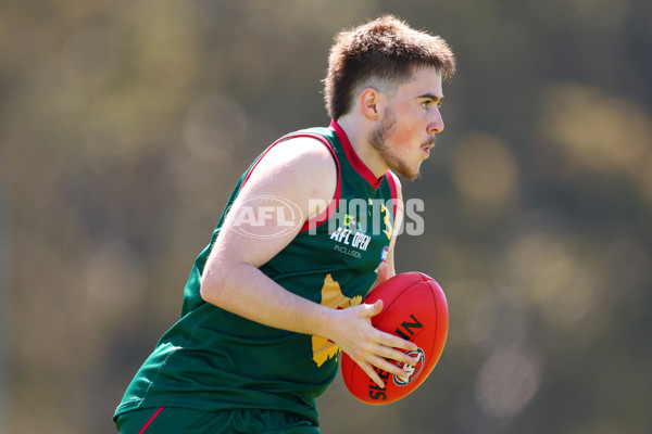 AFL 2025 Media - AFL Open Day 4 - A-64608081