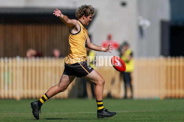 AFL 2025 Media - AFL Open Day 4 - A-64617526