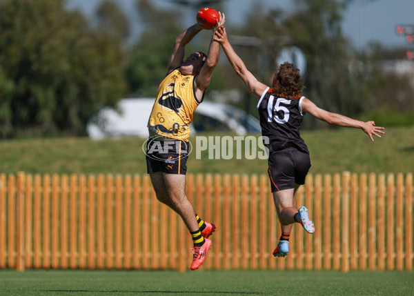 AFL 2025 Media - AFL Open Day 4 - A-64617572