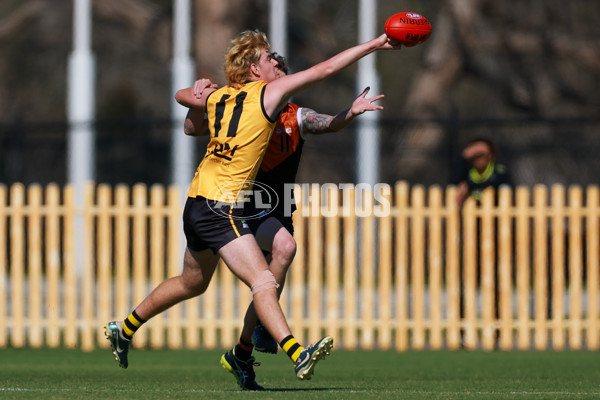 AFL 2025 Media - AFL Open Day 4 - A-64618405